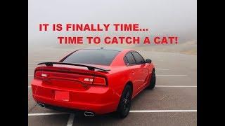 Time to catch a HELLCAT // TFL Car and MeanBee392