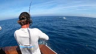 Viking 60 "Jolene" Day 1 Jimmy Johnson Billfish Championship