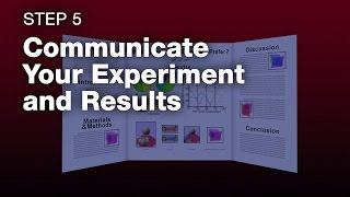 DIY Space: How to Do a Science Fair Project - Step 5