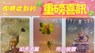 五月塔羅占卜：即將收到的重磅喜訊哪些美好的變化正在你的生命中悄然發生宇宙即將對你的生活做出哪些具體的安排🪢有哪些重要的訊息是你現在需要知道的