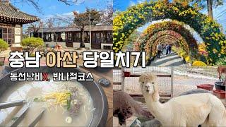 반나절코스 충남 아산 당일치기 여행브이로그 (동선낭비 없는 가족나들이 여행지추천, 산책코스, 한옥카페)