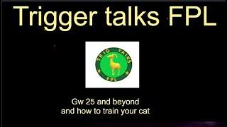 FPL Gw25 and how to train your cat