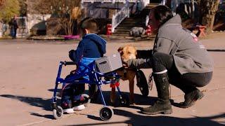 How Safe In Austin Is Helping Animals And Children Heal Together