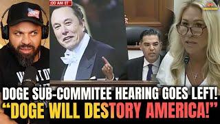 Democrats MELTDOWN and Chaos ERUPTS during 1st Congress DOGE Hearing!