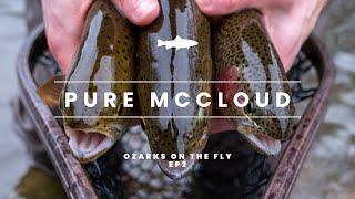 Ozarks on the Fly | EP 2 | PURE McCLOUD