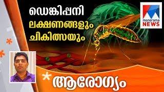 Dengue fever symptoms and treatment | Manorama News