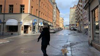 Stockholm Walks: Grevgatan - Karlaplan (street life in the posh parts of town, 4k, natural sound)