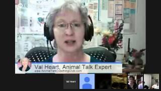 Human Animal Communication Training With Professional Animal Communicator Val Heart