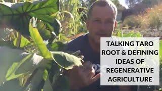 Talking Taro Root & Defining Ideas of Regenerative Agriculture