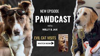 Welcome to the PawdCast, if dogs had a podcast