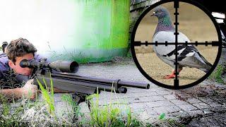 Farm Pest Control with .25 cal PCP Air Rifle (Scope Cam)