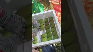 【 Sanya 】 Mango from Taiwan farmers in Hainan, 【三亚】中国海南台农芒果打包运到大陆批发市场