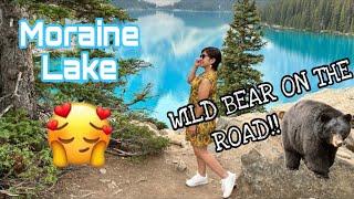 A DAY IN BANFF TRAVEL VLOG, ALBERTA CANADA |WE SAW A BLACK BEAR!! MORAINE LAKE | SPIRAL TUNNELS