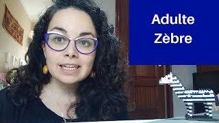 #3 L'adulte zèbre - Caractéristiques d'un profil atypique et explications (Subtitulos ES)