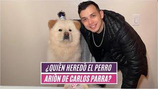 ¿Quién heredó el perro Arión de Carlos Parra?