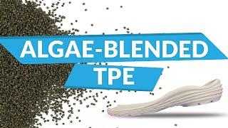 Sustainable Performance Enhancer for Shoes - Algae Blended TPE | The BLOOM Room