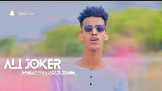 ALI JOKER | MARLEY WAA JACAYL DHABEE | HEES CUSUB LYRICS OFFICIAL MUSIC 2023