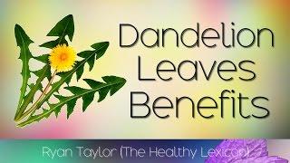 Dandelion Leaves: Benefits and Uses