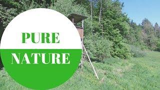 PURE NATURE: Wald und Wiesen in GERMANY