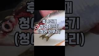 #청어 #요리 #손질 #cooking #일본요리 #sashimi