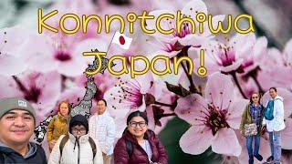 Sakura Season (Cherry Blossom) Travel to Japan 2024 Day1