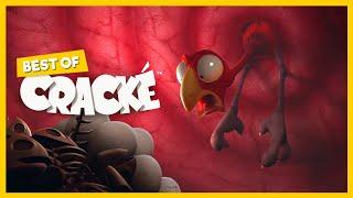 CRACKÉ - UPSET STOMACH | Cartoon Animation | Compilation