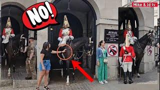 GUARD REACTS AT THIS SILLY TOURIST TOUCHES THE KING’S HORSE, ROYAL GUARD, KINGS GUARD