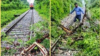 Tree on Railway track. Loco Pilot stops Train. Assistant Loco Pilot clears the track