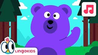 We're Going on a Bear Hunt   Song for Preschoolers | Lingokids