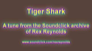 Rex Reynolds plays TIGER SHARK