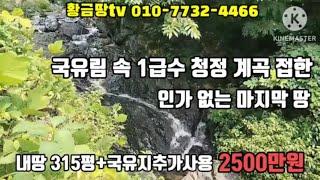 울진 국유림속 1급수 계곡 접한 인가없는 마지막 토지