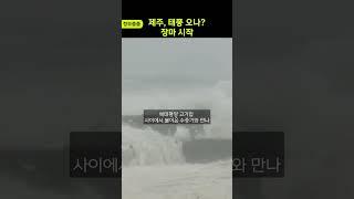 [정보줍줍] 제주, 태풍 오나? 장마 시작
