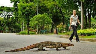 Lumphini park, Bangkok, Thailand |  Парк Люмпини, Бангкок, Таланд