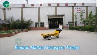 Warehouse Transport Electric Flatbed Trolley, Customized Battery Power Flat Cart