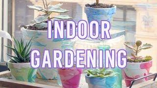 4 Brilliant Indoor Gardening Ideas