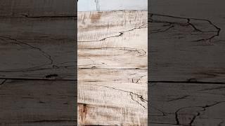 Spalted Curly Red Maple #woodworking #chainsaw #Exotic #Rare #Beautiful