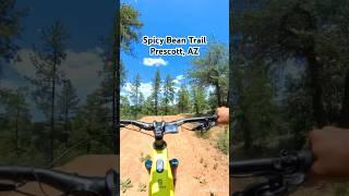 Spicy Bean double black diamond, Bean Peak trails | Prescott, AZ