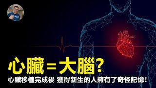 【震撼】五臟之首竟有大腦功能，深層探索，心臟移植完成後，獲得新生的人擁有了奇怪記憶！心臟也有“記憶”功能？【飄哥講故事】(字幕)