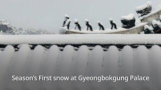 Season's first snow at Gyeongbokgung Palace