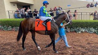 Senor Buscador wins the Grade II San Diego Handicap