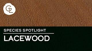 Lacewood Wood Veneer Sheets