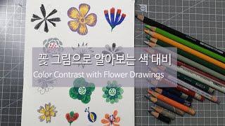 Color Contrast with Flower Drawings 꽃 그림으로 알아보는 색 대비