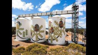 Discover WA's Largest Outdoor Art Gallery; PUBLIC Silo Trail