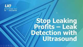 Stop Leaking Profits – Leak Detection with Ultrasound - UE Systems Inc.