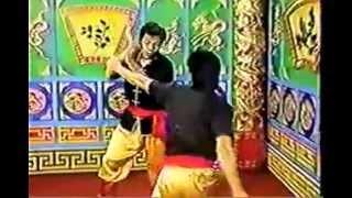 Kung Fu Theater: Sifu David Louie, Yau Kung Moon