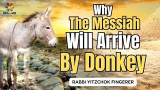 Why a Donkey - Rabbi Yitzchok Fingerer