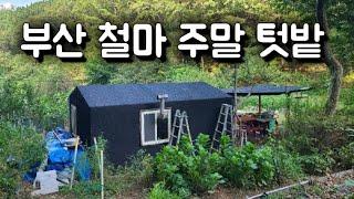 3269번) 부산 철마땅 농막설치 주말텃밭 철마토지 매매 기장땅 땅선생 기장토지 철마임야