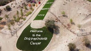 See our experience while training at Cesar Millan’s Dog Psychology Center!