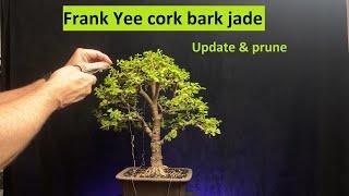 Frank Yee cork bark jade update and prune /portulacaria afra #bonsai #bonsaitree #elephantbush