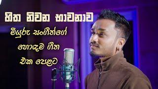 Best 25 Songs By Miyuru Sangeeth | මියුරු සංගීත්ගේ ජනප්‍රියම ගීත 25ක් එක පෙළට